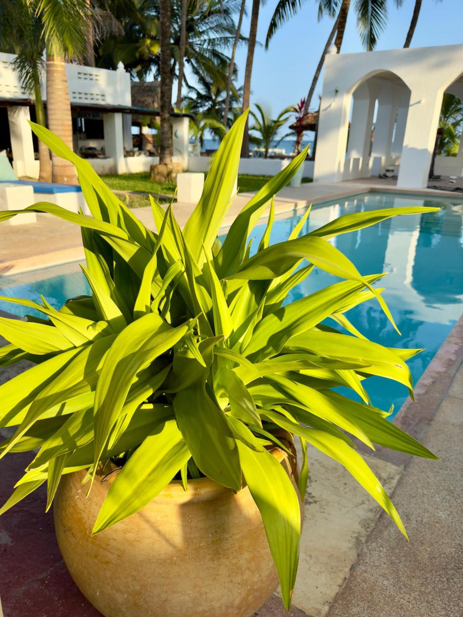 Sawa Sawa Beach House Msambweni Eksteriør billede