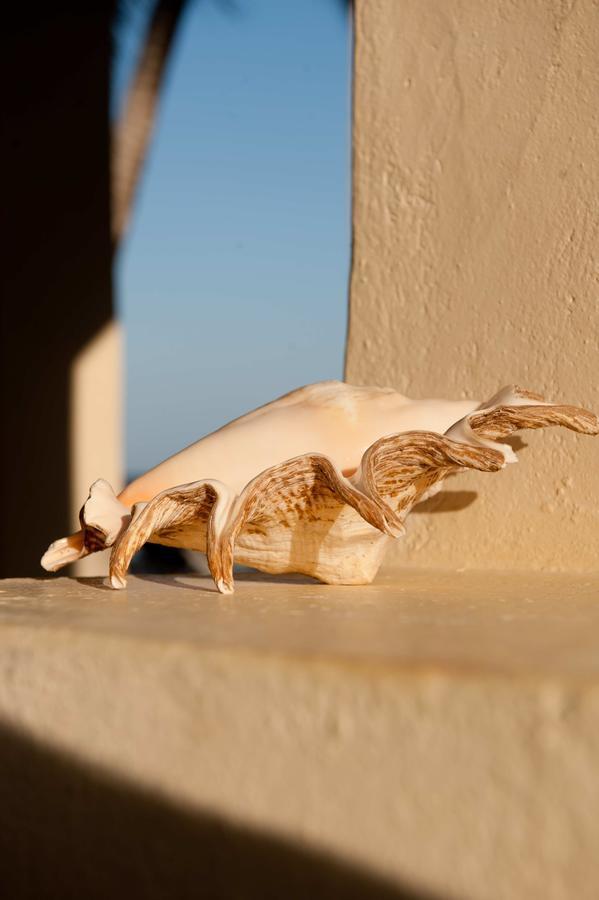 Sawa Sawa Beach House Msambweni Eksteriør billede